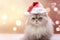 Christmas Cats: Feline Festive Frenzy