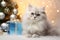 Christmas Cats: Feline Festive Frenzy