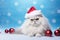 Christmas Cats: Feline Festive Frenzy