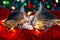 Christmas cats. Two cute little striped kittens sleeping on festive holiday background. Kitty with Christmas lights