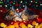 Christmas cats. Two cute little striped kittens sleeping on festive holiday background. Kitty with Christmas lights