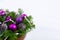 Christmas centerpiece with glitter cones and purple ornaments, c