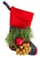 Christmas checkered stocking with fir branch