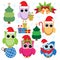 Christmas collection of colorful owls and elements