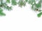 Christmas composition. Branches of coniferous trees with cones spruce, pine, larch are on a white background. New Year, winter