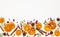 Christmas composition with dried oranges, cinnamon sticks and herbs on white background. Natural food ingredient for cooking or