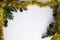 Christmas composition. Evergreen conifer branches, cones and gold tinsel. White background with space for text.
