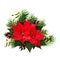 Christmas composition with pine twigs and red poinsettia flowers