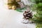 Christmas composition with pinecone on light background.. Selective focus.
