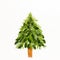 Christmas composition in shape of Christmas tree with branches of thuja, spruce and holly on white background. Merry christmas