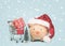 Christmas concept background. Piggy bank with Santa hat and shopping cart with christmas gifts