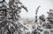 Christmas concept at Kozani town. Snowy city view between trees. Snow at rooftops of buildings background.