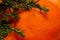Christmas concept - one solar tangerine close shots and branch of pine tree