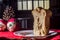 christmas concept with panettone and soft toys , window to funff and copy space