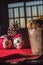 christmas concept with panettone and soft toys , window to funff and copy space