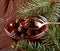 Christmas Confiture from fir cones