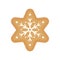 Christmas cookie - vector. Gingerbread cookie. Star. Snowflake cookie isolated