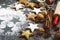 Christmas cookies, roller pin, cinnamon, nuts and cookie cutter on dark background