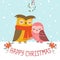 Christmas couple of owls