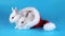 Christmas couple rabbits sitting in the Santa Claus hat