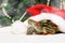 Christmas creative card with turtle in red santa claus hat. New Year decorations on backround. Free space for text