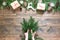 Christmas creative frame composition. Female hand holding spruce branch for making. on the wooden background.