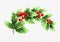 Christmas crescent holly branch illustration