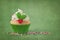 Christmas cup cake