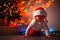 Christmas. A cute baby in a Christmas hat, lowered over his eyes, crawls around a Christmas tree decorated with glowing