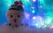 Christmas Decor Close-up with Glowing Pink, Yellow, Orange Lanterns on the Background of a Snowman. Colorful Christmas Lights on a