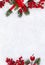 Christmas decoration, banner. Gift box with red ribbon, bow, twigs christmas tree, red berries and apples on snow