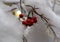 Christmas decoration: branches with artificial snow made from cotton wool and red rowan berries.