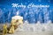 Christmas decoration with candle, golden bow, silver stars, with text in English `Merry Christmas` in a blue forest background