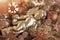 Christmas decoration with cherub copper colored