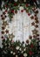 Christmas decoration composition. Frame made of fir branches, pinecones and berries on the wooden board