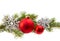 Christmas Decoration (fir branch,christmas ball,snowflake,) isolated on a white background