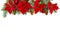 Christmas decoration. Flower of red poinsettia, branch christmas tree, christmas ball and cone spruce on a white background