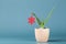 Christmas decoration in form of red snowflake on green aloe vera in pot on blue background