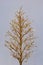 Christmas decoration glowing golden metal tree garland. Home decor, luminous tree