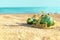 Christmas decoration green balls and gold reindeer on the beach near ocean, summer Christmas and winter holyday concept