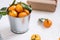 Christmas decoration of mandarin in an iron small bucket, Christmas tree, gifts on the white wooden boards background.