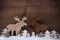 Christmas Decoration, Moose Couple In Love, Snow, Tree
