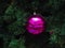 Christmas decoration. Raspberry glass ball