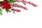 Christmas decoration. Red berries, flower red poinsettia, christmas tree, pine cone, eucalyptus leaves on a white background