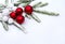 Christmas decoration. Red and white balls, branch christmas tree on snow with space for text