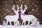 Christmas Decoration, Reindeer Couple In Love, Tree, Snowflakes
