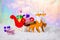 Christmas decoration reindeer and Santa sleigh with gifts in snow on north polar light background, closeup