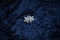 Christmas decoration on royal blue background. Top view on stars  wings and ornaments.