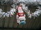 Christmas decoration with Santa Clause toy in the church of Bow Barrack Kolkata India