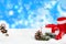 Christmas decoration on snow with blur blue winter background. S